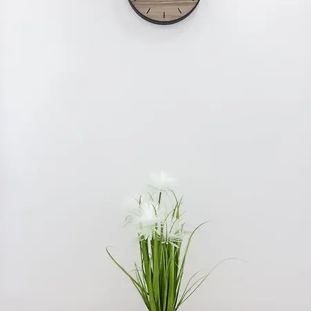 Apartment Le 29 - Emplacement Ideal Pour Ce T2 Epernay